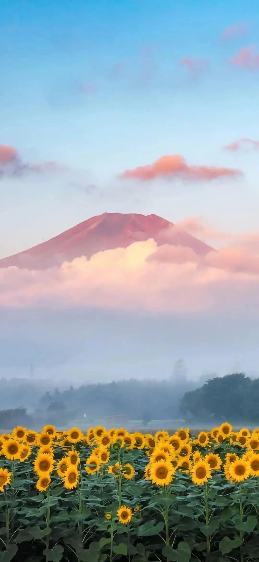 富士山壁纸富士山手机壁纸富士山全面屏壁纸