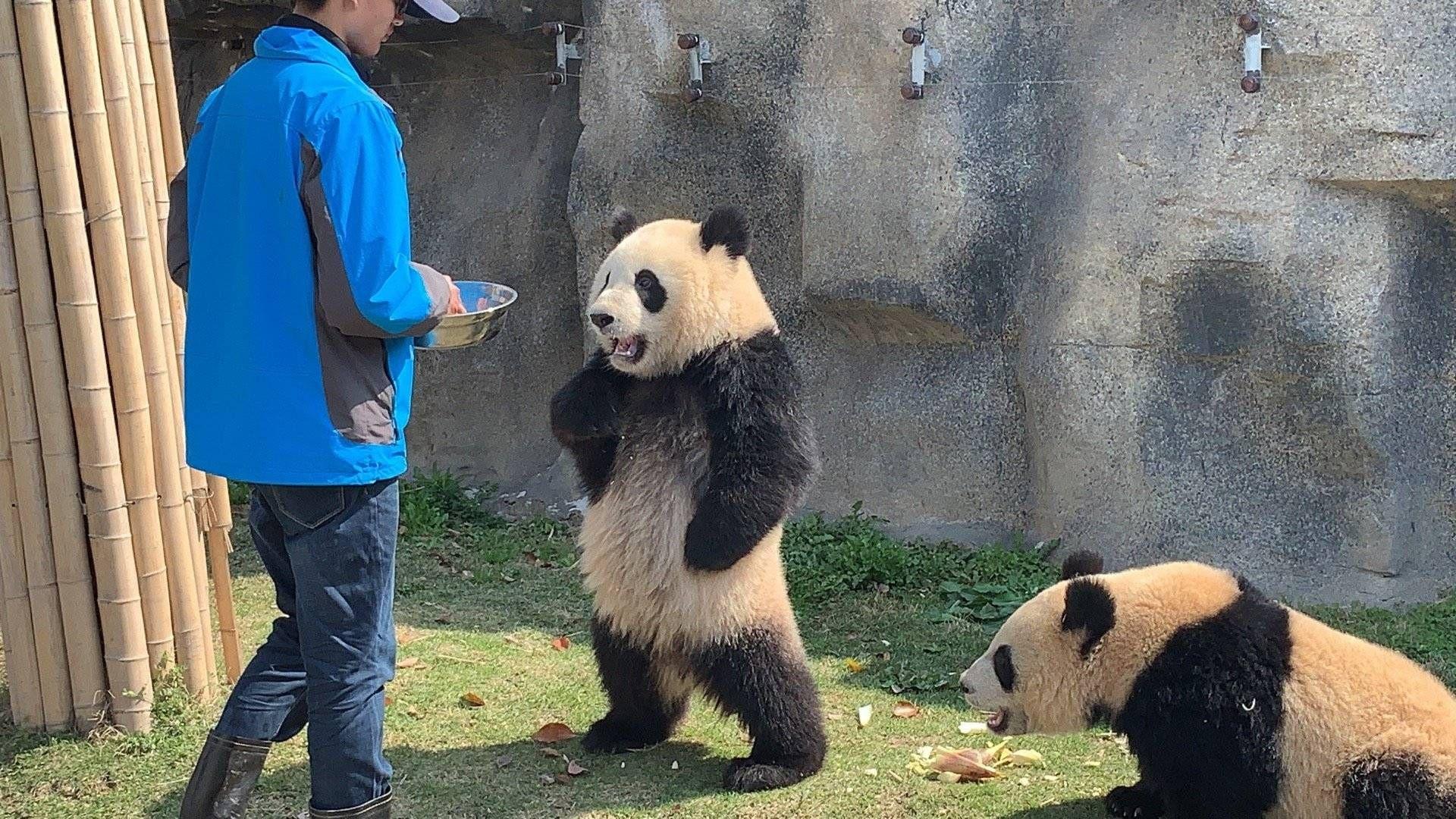 被惹怒时会毫不犹豫删除微信的星座