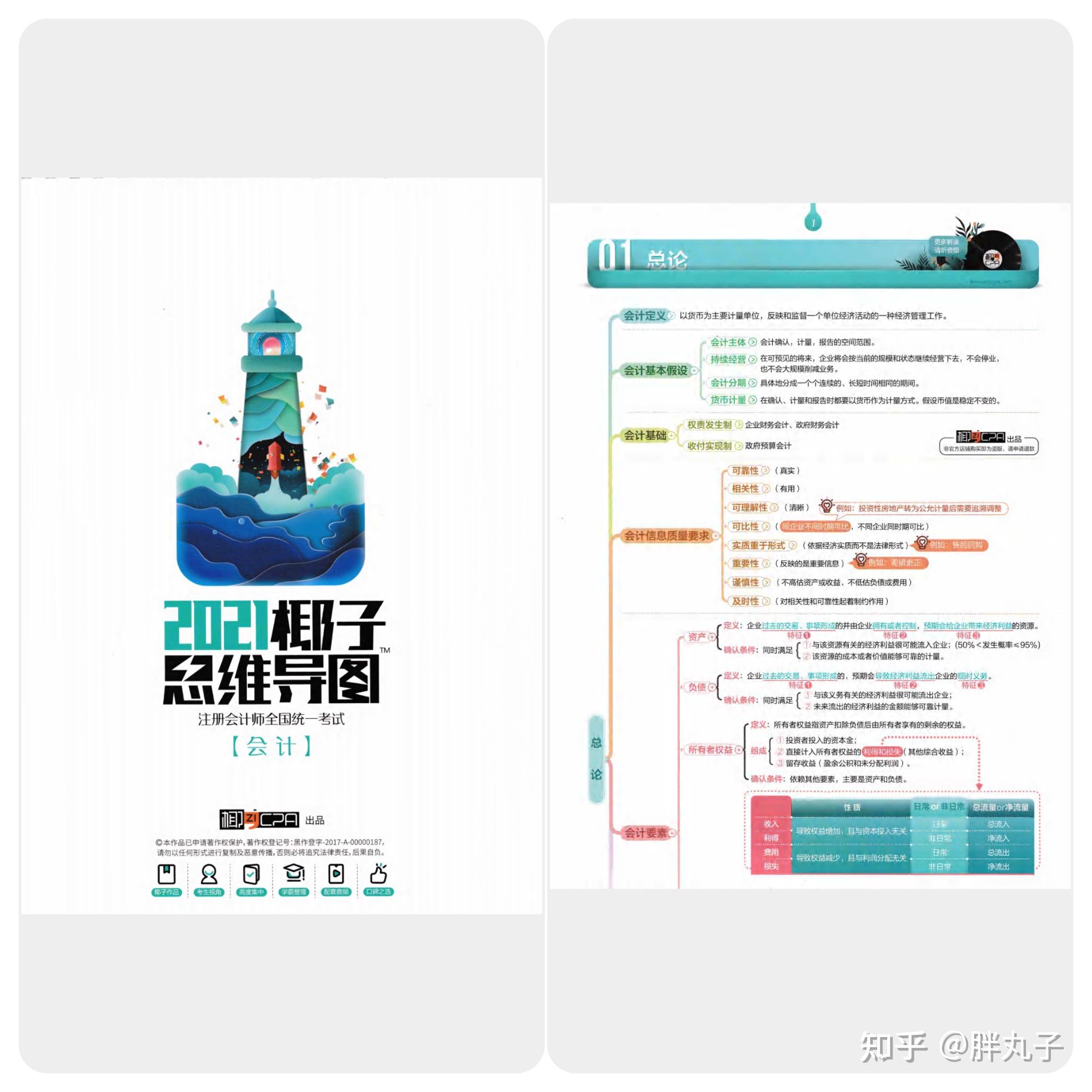 21cpa椰子导图出炉备考必备哦