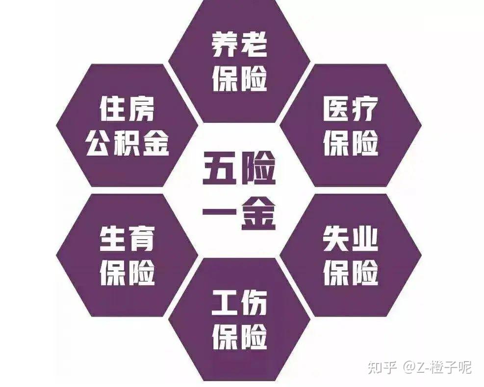 社保分几档是什么意思_社保分为几档_社保分为几个档