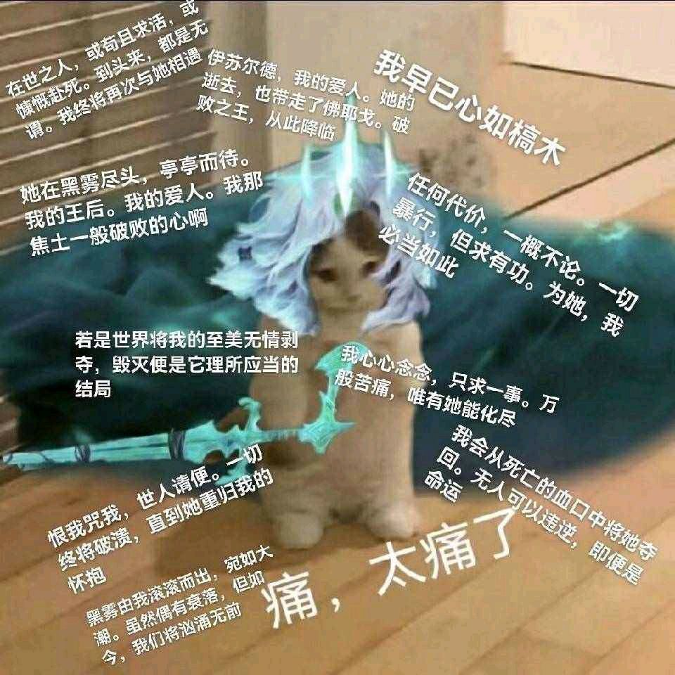 英雄联盟猫猫表情包(第四期 知乎