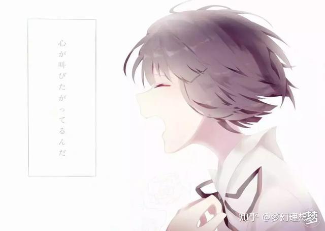 破坏青春!恨之入骨的心之伤:冈田麿里作品谈