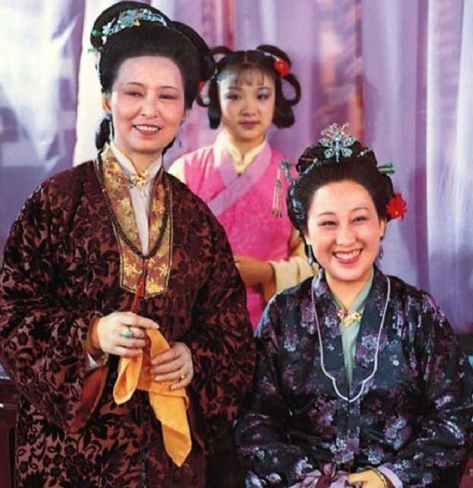 家属:弟弟 弟妹即薛宝琴父母;嫡子薛蟠,嫡女薛宝钗;侄子薛蝌,侄女薛