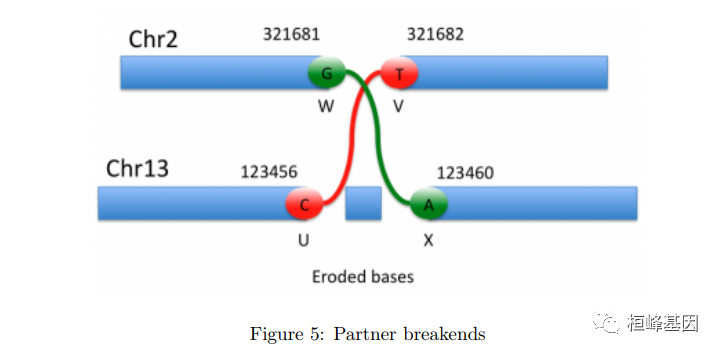 DNA 5. 基因组变异文件VCF格式详解 - 知乎