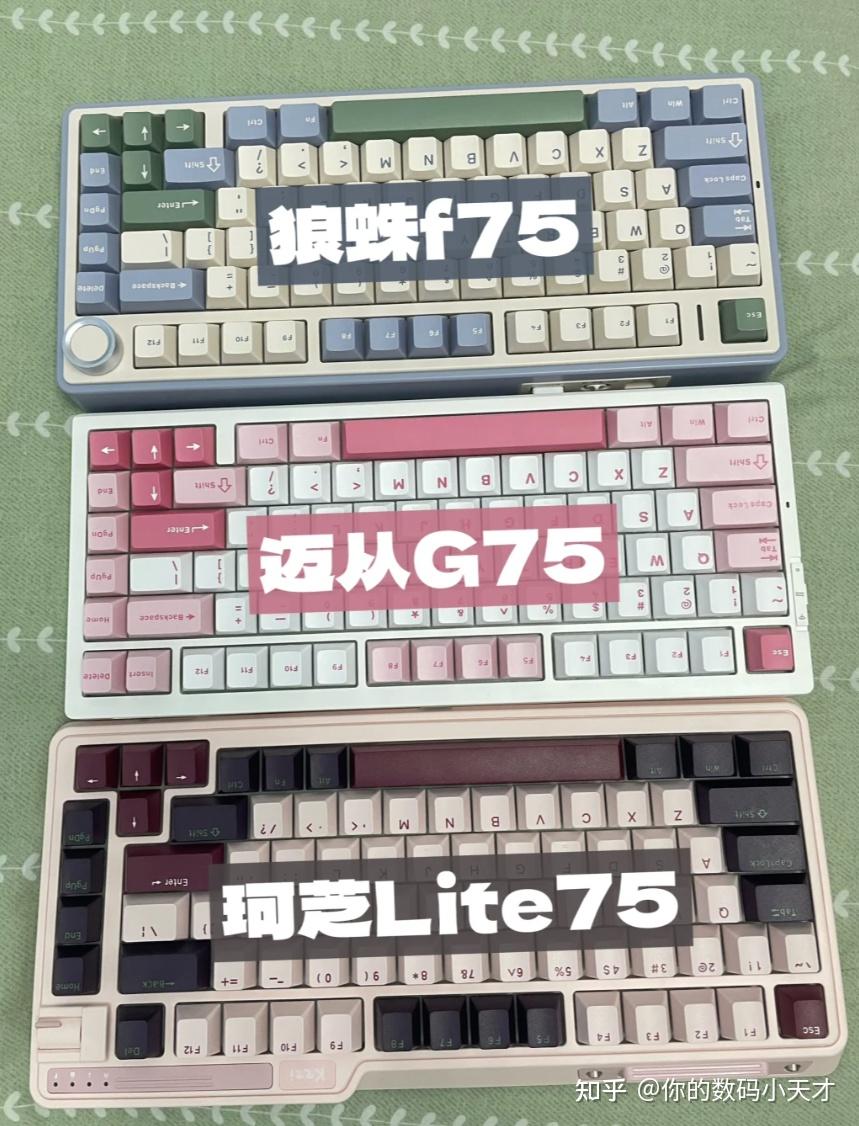 75配列热门键盘PK|哪款最具性价比 - 知乎