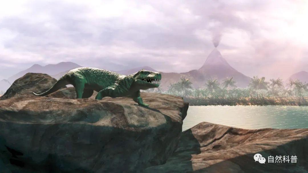 镇馆之宝9两亿四千万年前的陆地霸主山西山西鳄