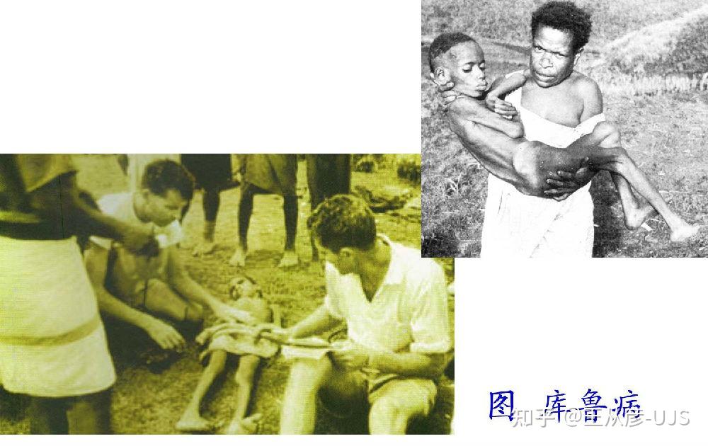 生物界的捕食 - 知乎