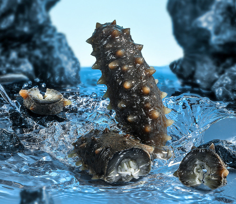 只知道保养食品里的海参?护肤界的海参肽更加厉害