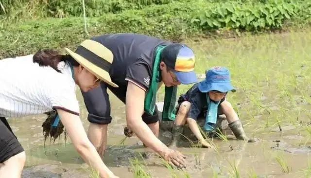 霍启刚突然发文道歉!郭晶晶和3个孩子暂时安全!-霍启刚和郭晶晶感情真的好吗?