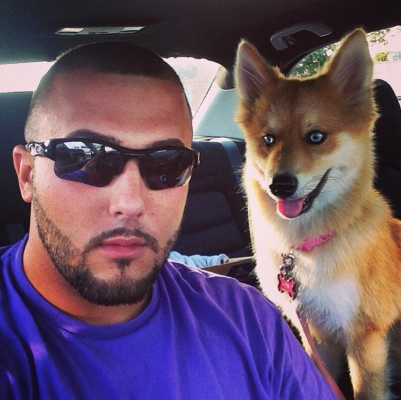 走上狗生巅峰的混血汪!人家是狗,不是狐狸!