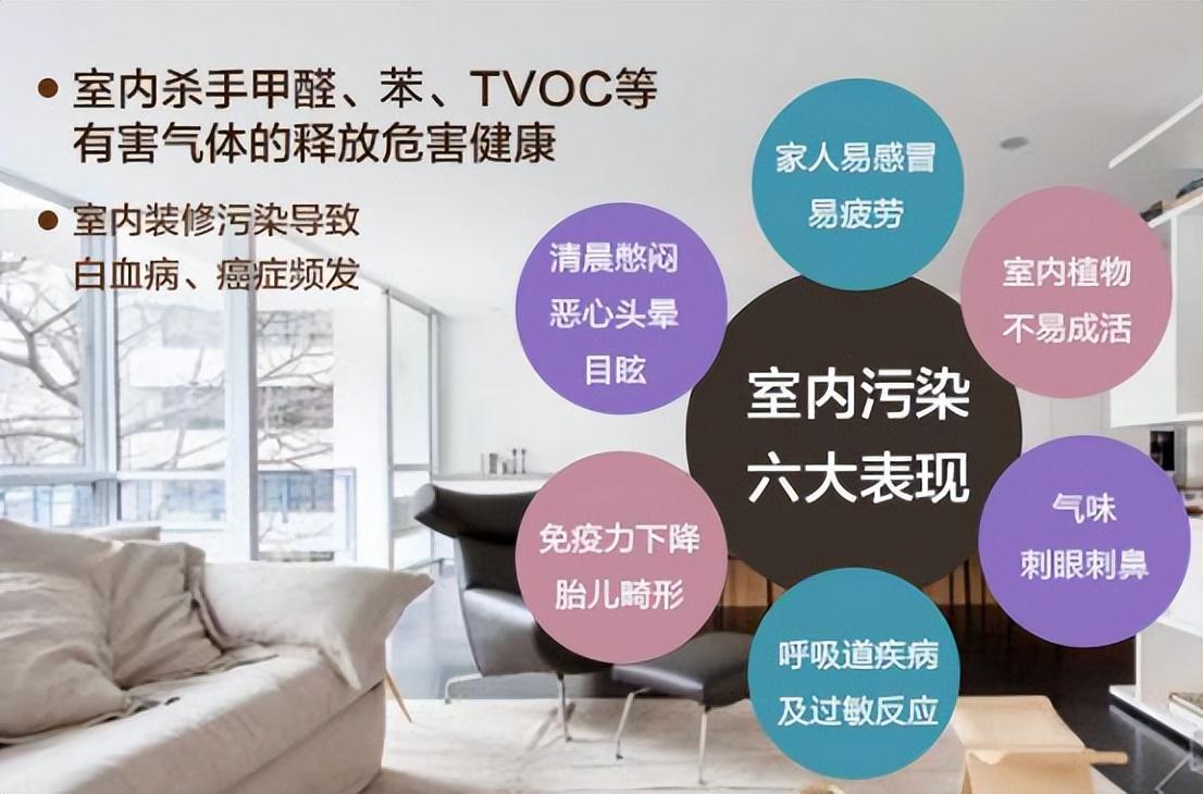 新装修的房子，怎样才能去除甲醛？ - 知乎