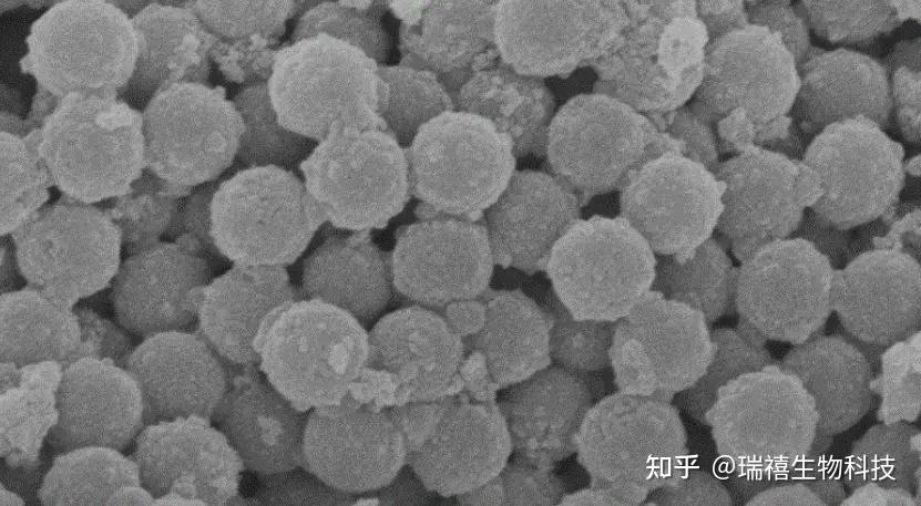 Sio2 微球 石墨烯/SiO2复合气凝胶微球/包覆二氧化硅纳米颗粒/载Pt石墨烯中空二氧化硅微球 - 知乎