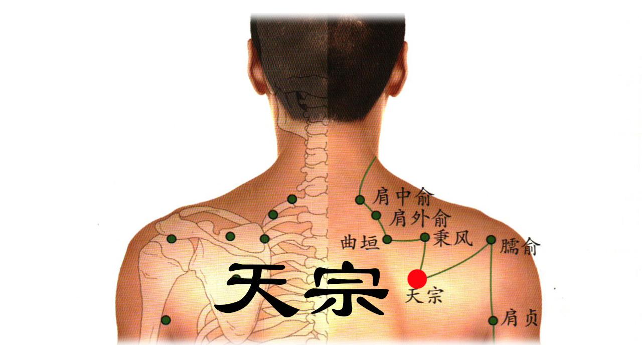 肩周炎刮痧位置和图片图片