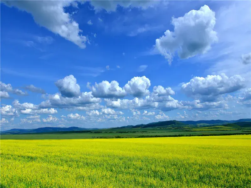 什么时间来呼伦贝尔更合适?一起来看看每个月份里面的