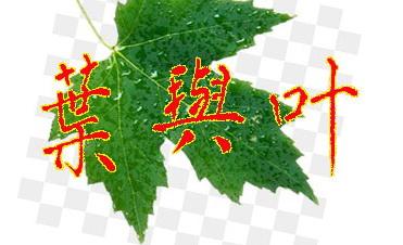 叶:汉字的起源与演变(小学一年级语文生字 第72集) - 知乎