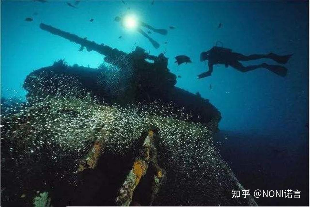 瓦努阿图维尔港是世界闻名的潜水胜地