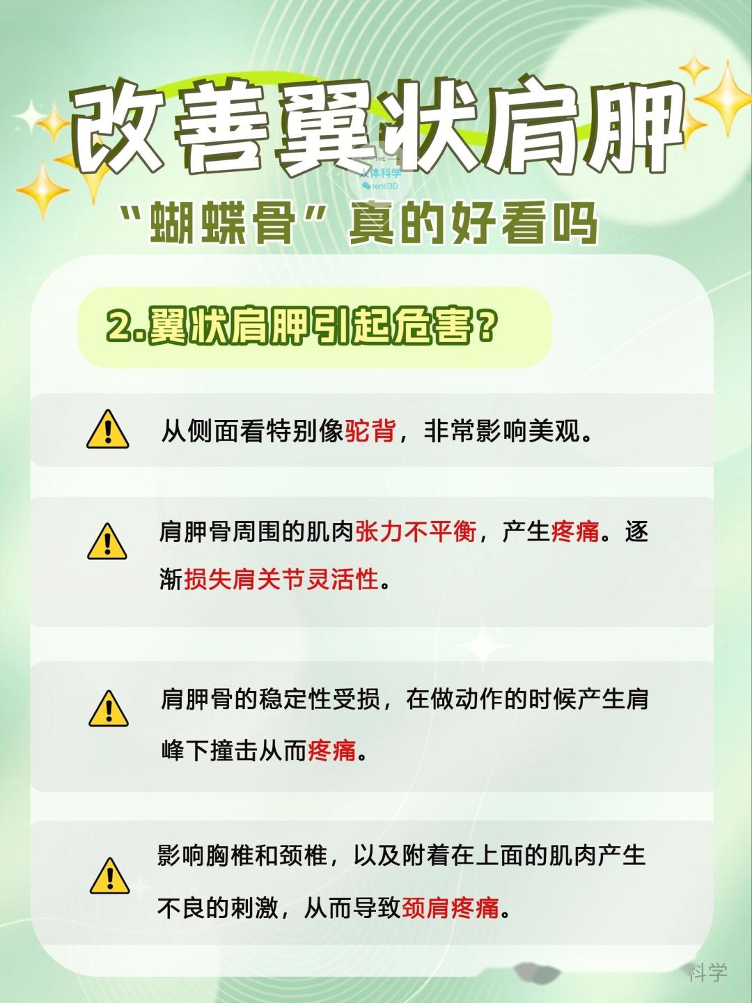 翼状肩胛改善蝴蝶背的原理思路和矫正方法