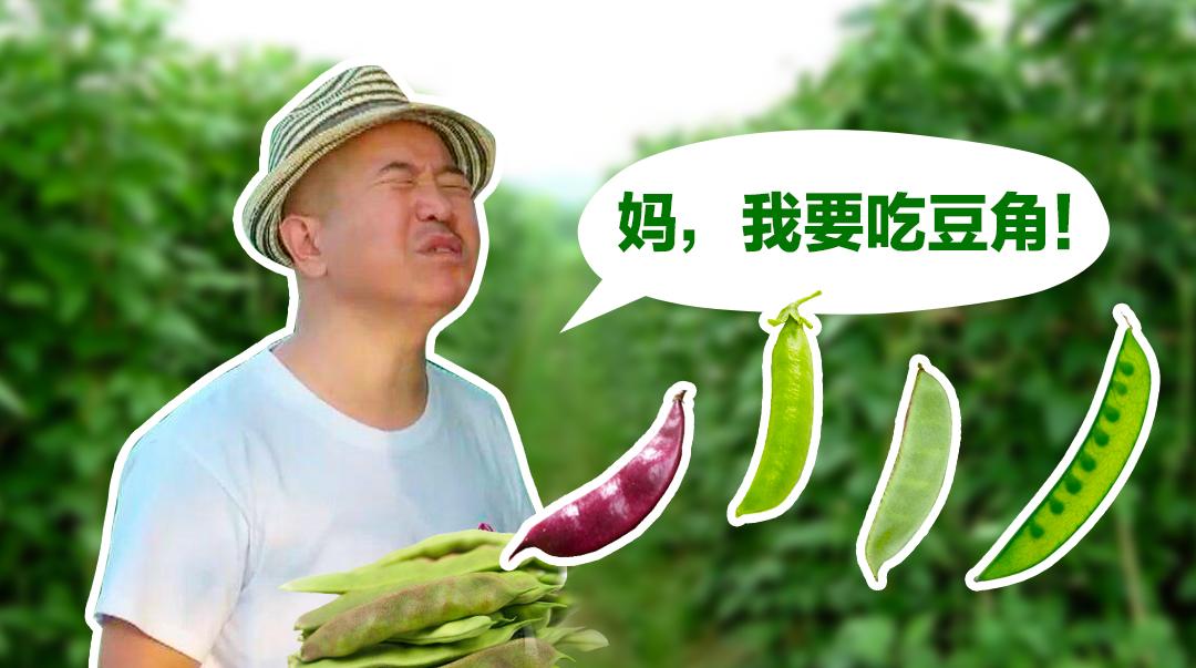 东北人你还真把海南当开心农场啊