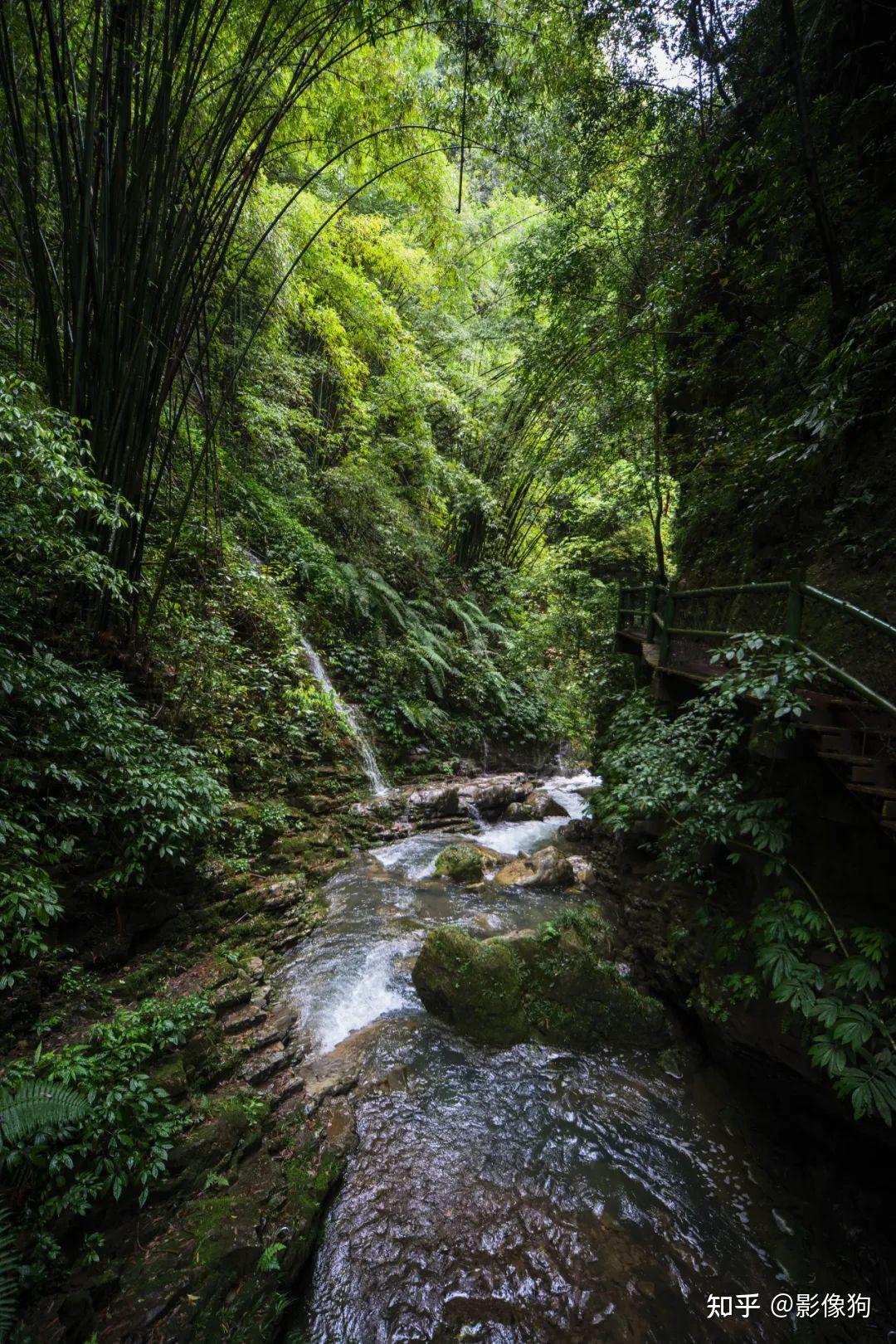 重庆金刀峡两日游记:当松下相机遇见巴山蜀水