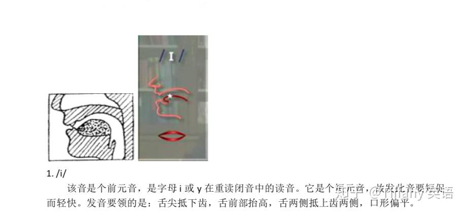 48个国际音标发音舌位图 - 知乎