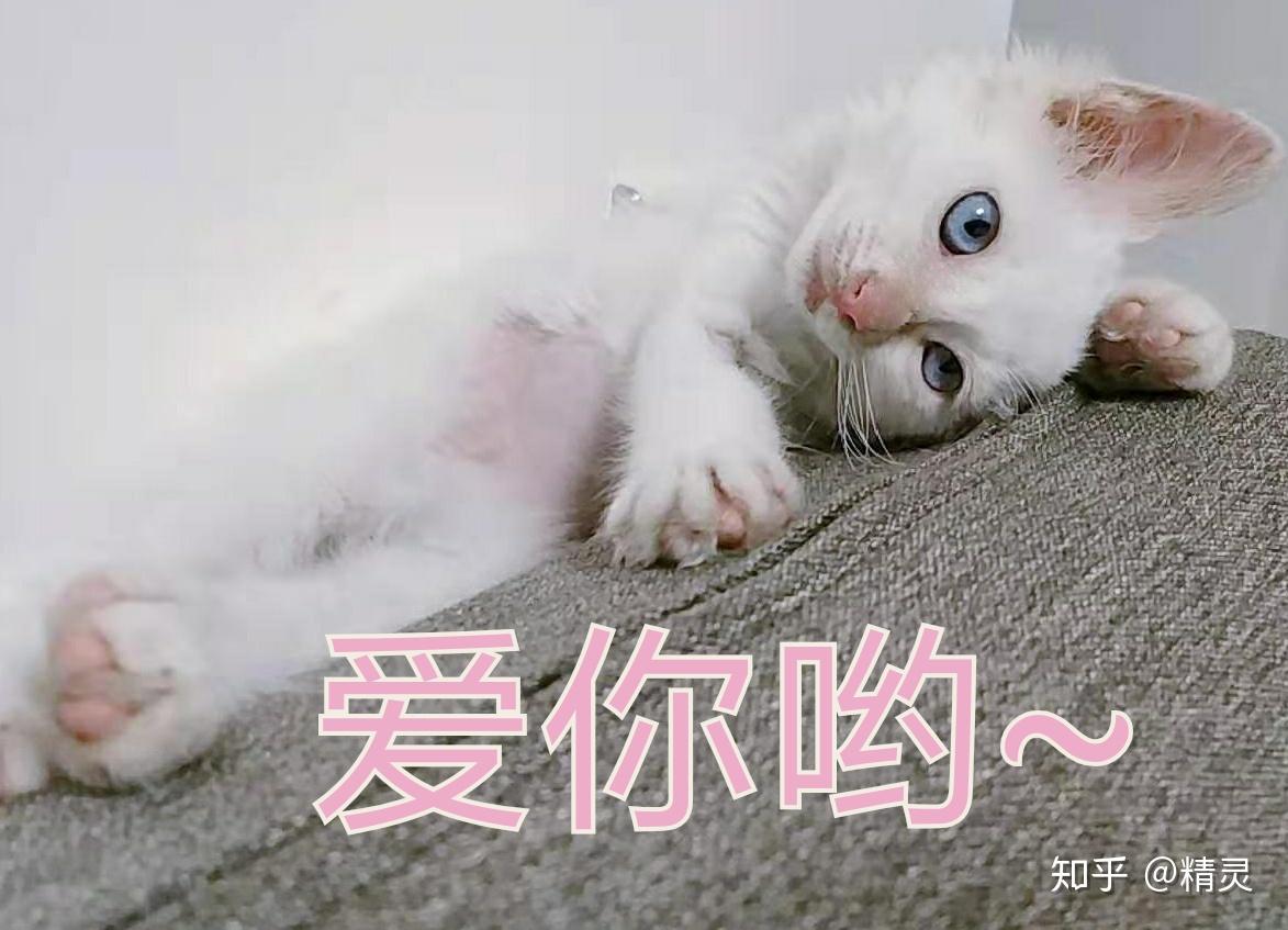 v2-bffef9f0126f208d238f752d53ed1e17_r.jpg