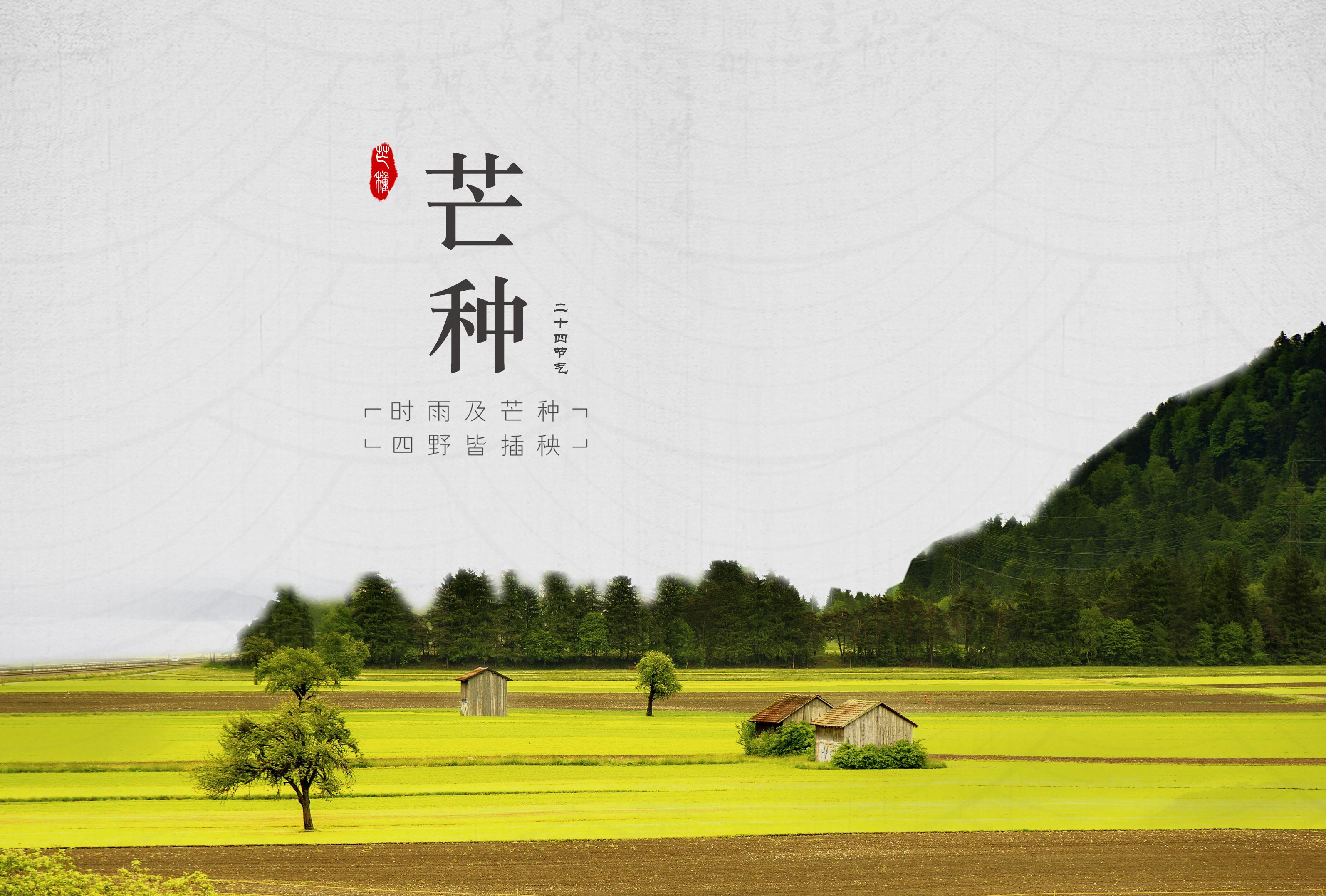 芒种收获悄然至正是幸福时