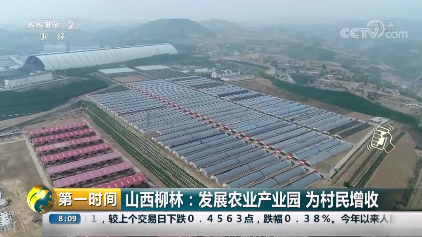 融合新技术吕梁柳林凌志集团陈鸿志发展农业新动能