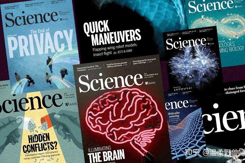 费洛蒙香水真的能有效吗