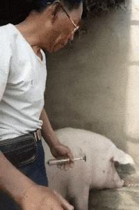 我将带头冲锋!这款融合了射击 策略征服的大型单机游戏真的香!