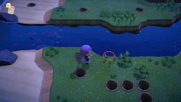 集合啦 动物森友会 人造狼蛛岛深度研究与灵活运用心得 知乎