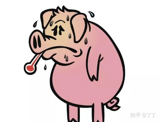 鳌拜的缩阳入腹能实现吗竟然还有神秘老太喜欢收藏丁丁
