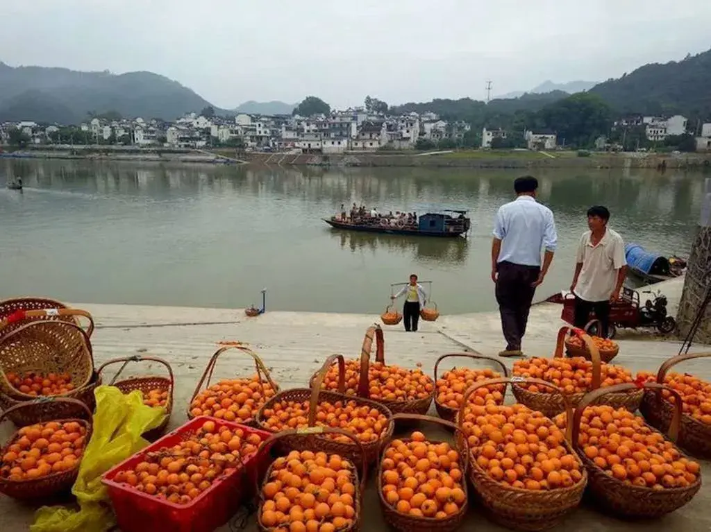 新安江三潭枇杷桃花潭油纸伞老酒坊皮影戏古龙窑摄影团