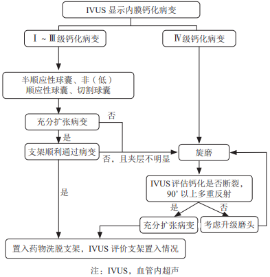 学术分享丨陈韵岱教授:冠脉重度钙化处理的新技术 - 知乎