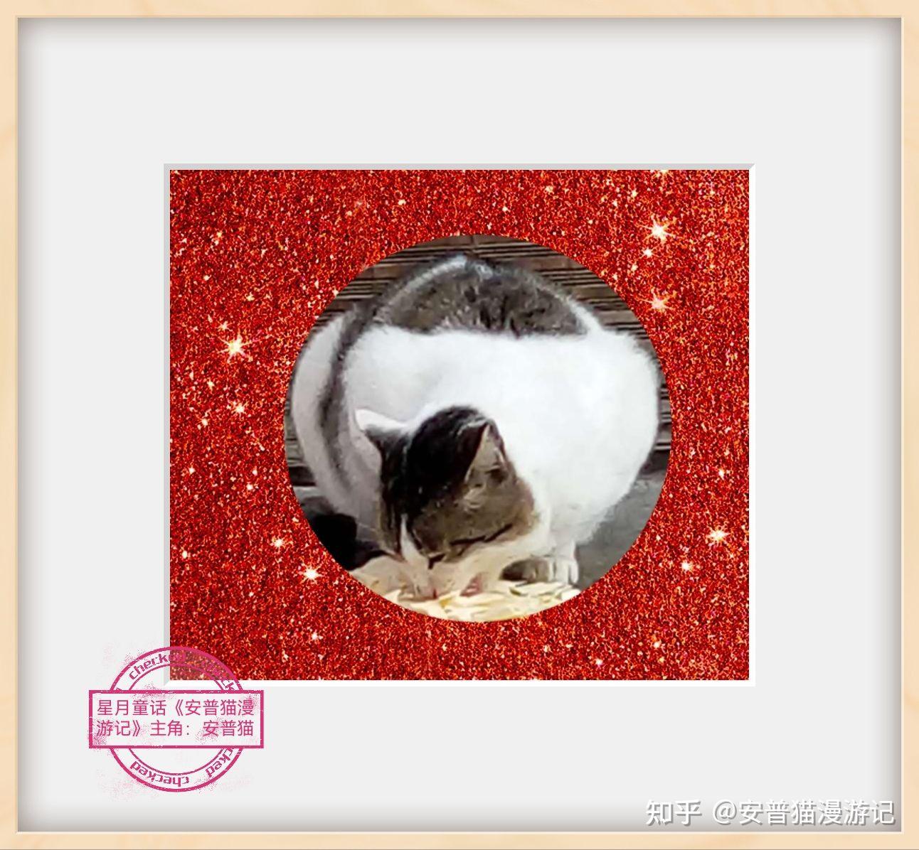 星月童话安普猫漫游记之一安普猫诞生记