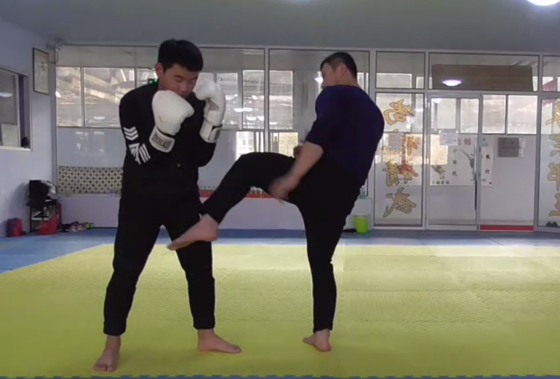 武术谚语学会弹腿鬼扯钻天下英雄打一半看看二路弹腿实战能力何等暴力