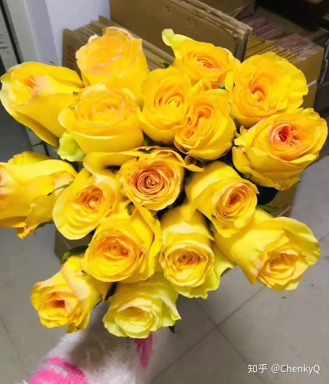 10种黄色玫瑰品种，每一种都是最明媚灿烂的颜色！ - 知乎