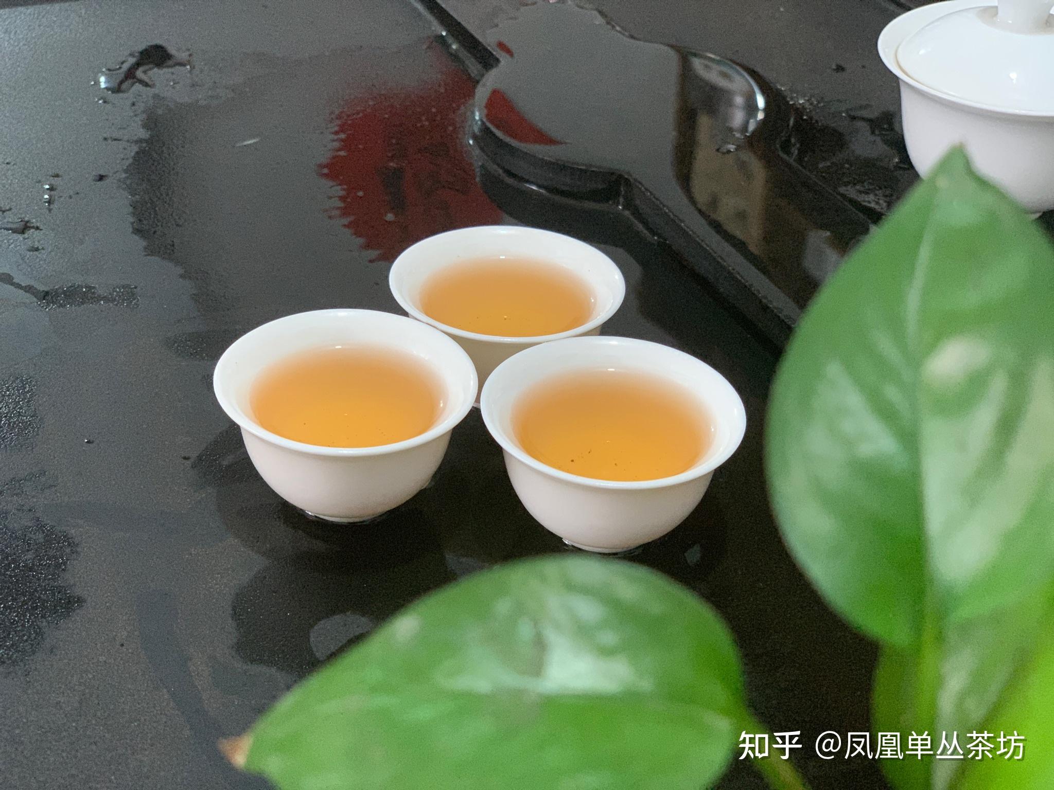 什么叫单丛茶 v2-c08dd5f700df56204f02945b21af6137_r.jpg