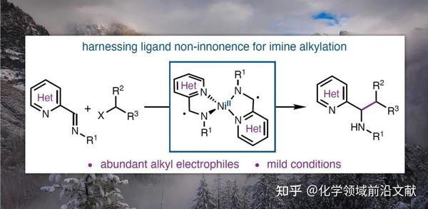 Sarah E Reisman课题组：镍催化杂芳基亚胺的还原烷基化反应 知乎
