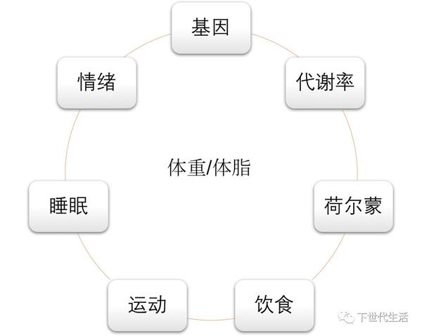 优化你的减肥效果 每天只需多花10分钟 知乎