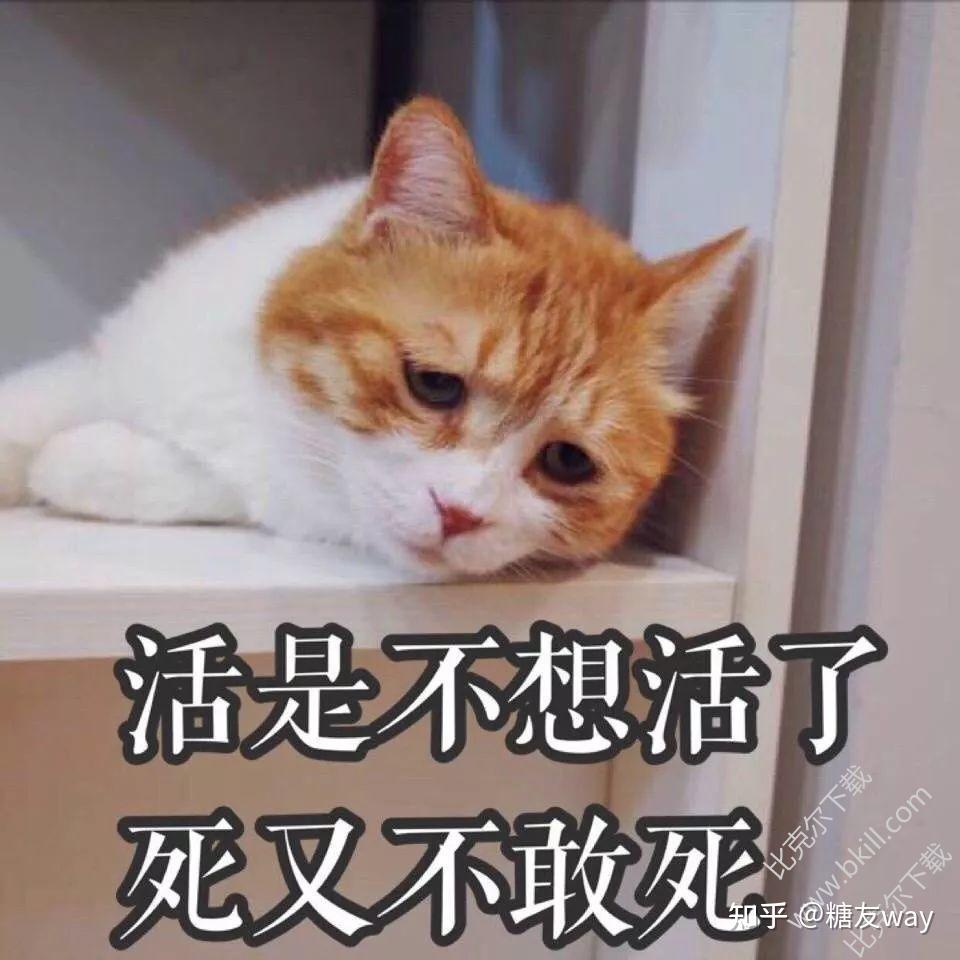 受够了生活的苦积极健康的生活方式