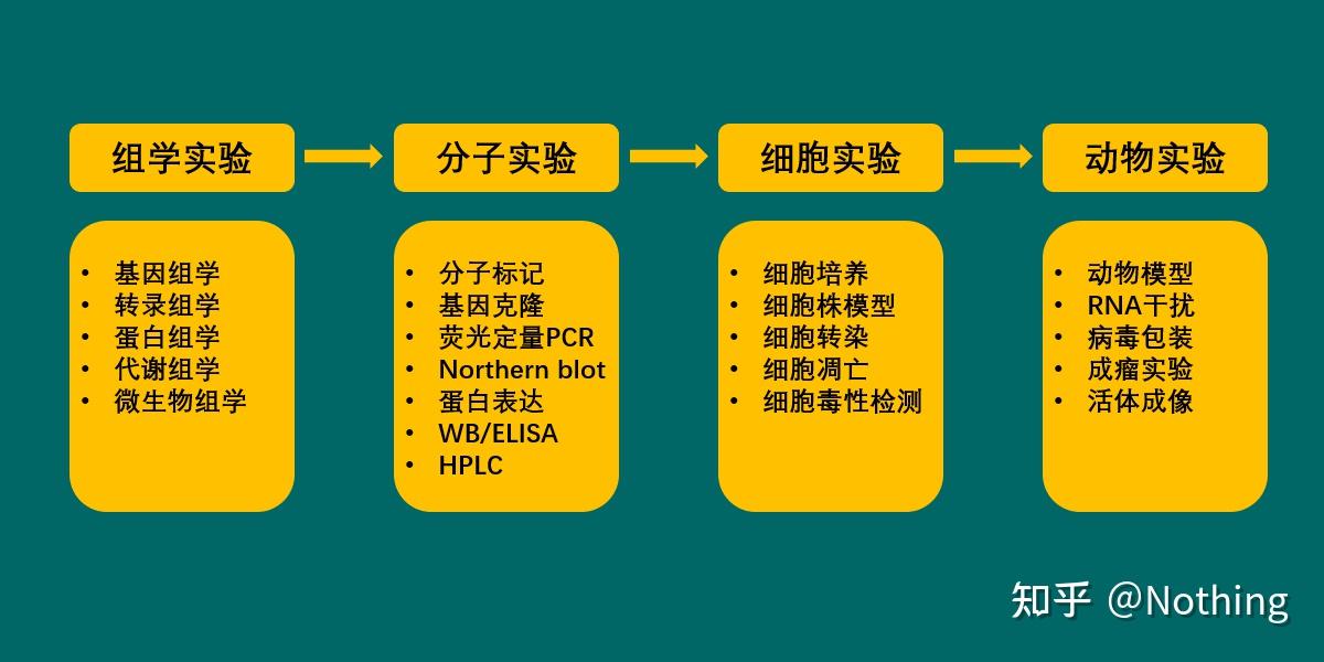 腫瘤功能基因研究套路 - 知乎