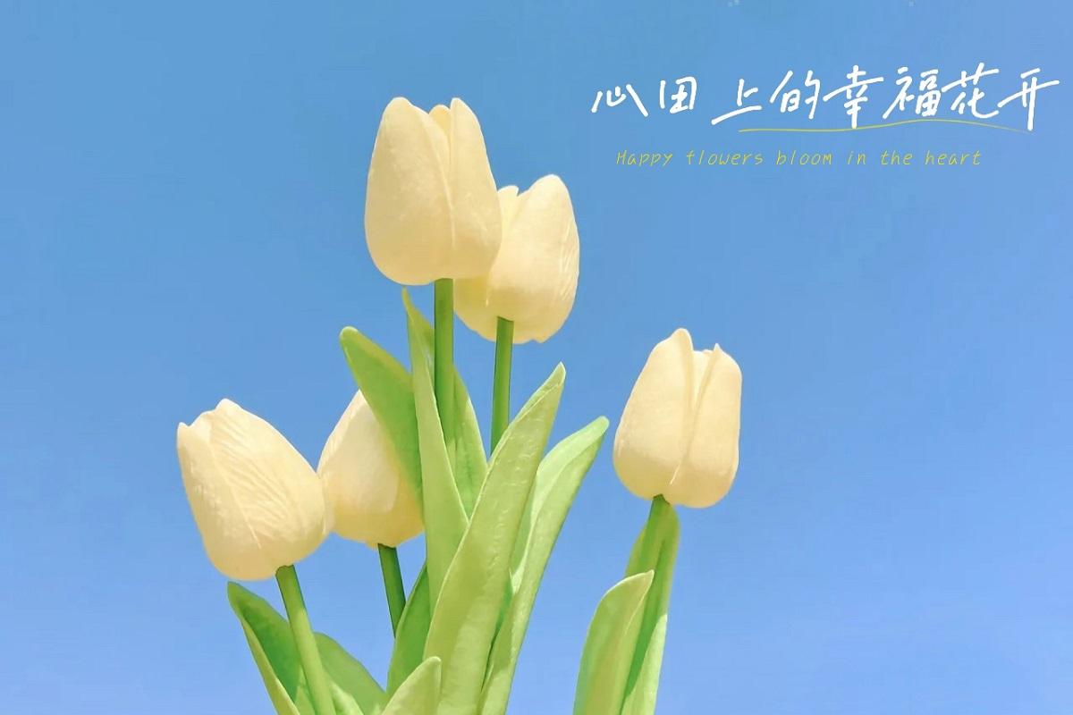 心田农田一起选种? - 知乎