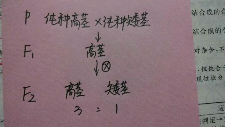 的杂交实验:选择豌豆做为实验材料的优点是豌豆是严格的自花传粉植物