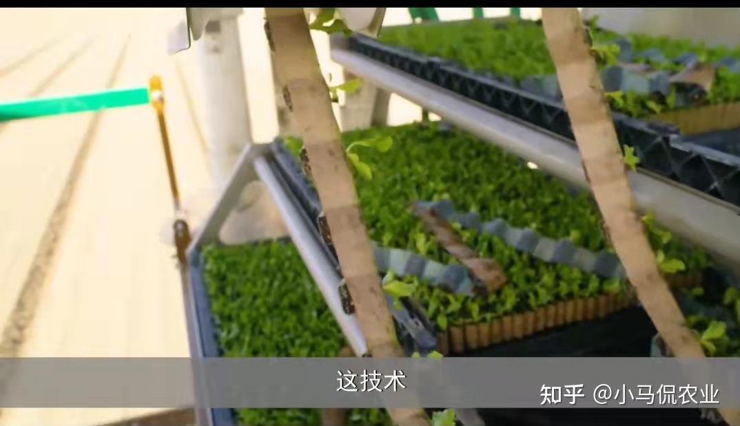 美国机械化“植生带”种菜1小时能种10亩地,节省劳力80%,想引进 - 知乎