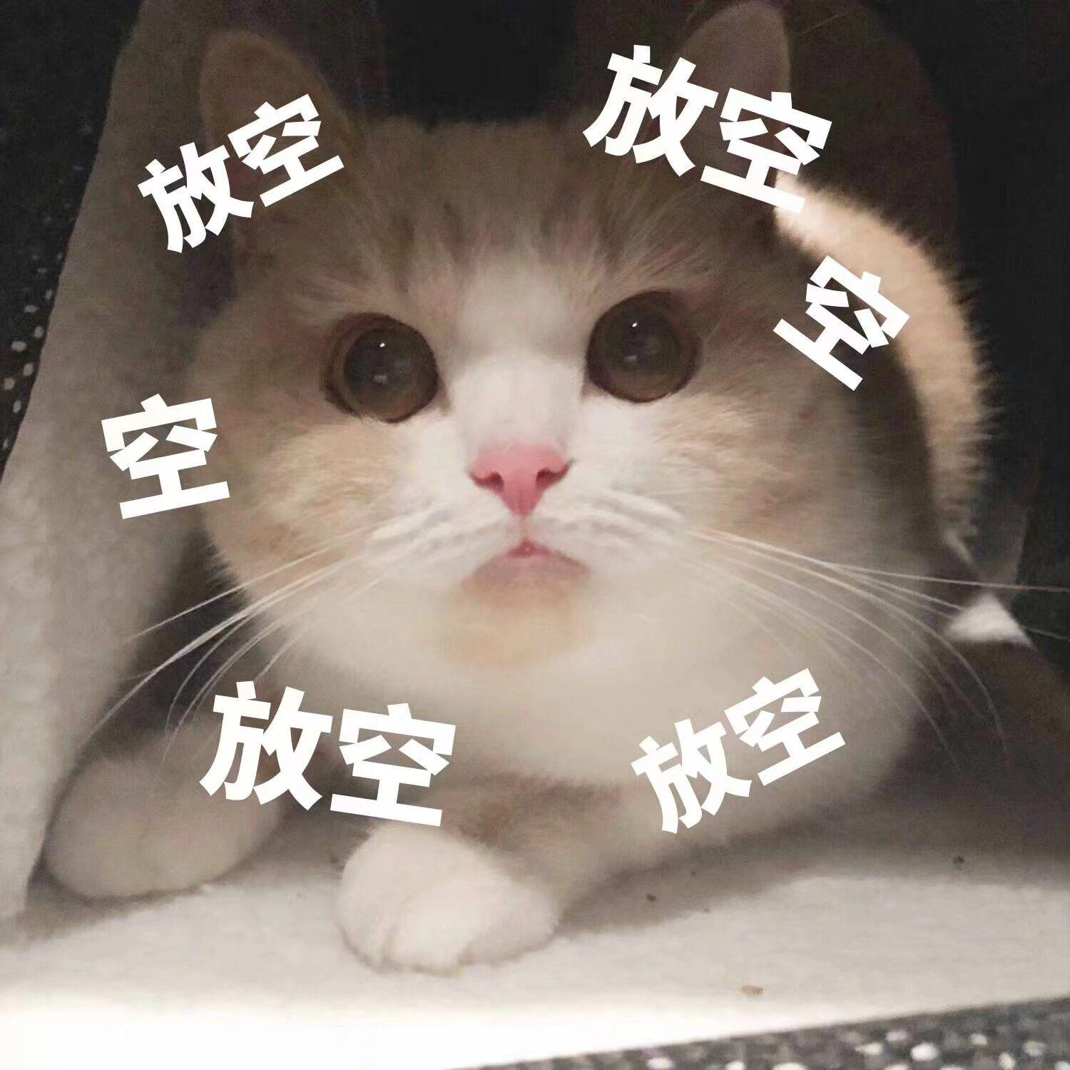 有没有关于这种的可爱表情包