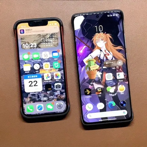 动图