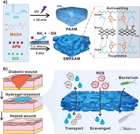 生物医学 | Adv. Healthc. Mater. | 具有抗菌和清除活性氧能力的海绵状大孔水凝胶用于糖尿病伤口再生 - 知乎