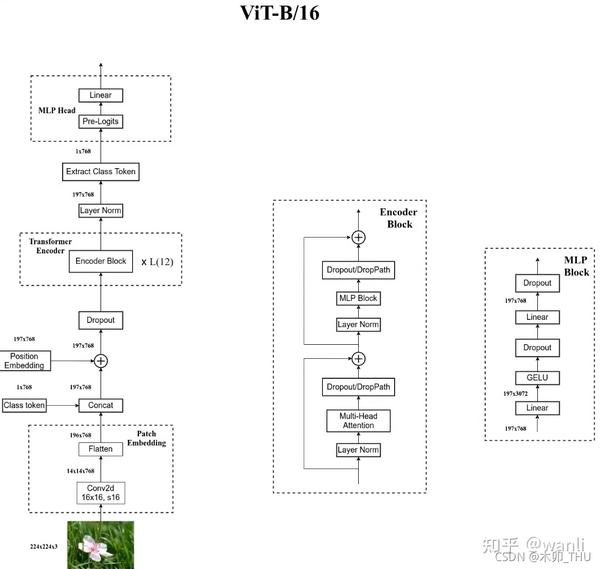 Vision Transformer(ViT)网络详解 - 知乎