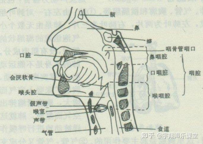 唱歌通道示意图图片