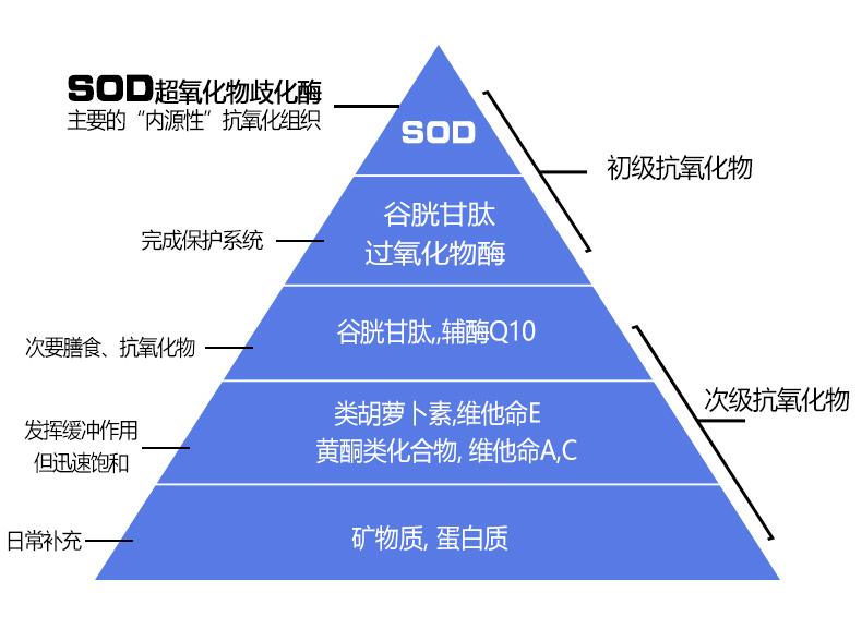 目前,国际一线护肤品牌都有顶级的护肤系列,核心作用是抗氧化和抗衰老